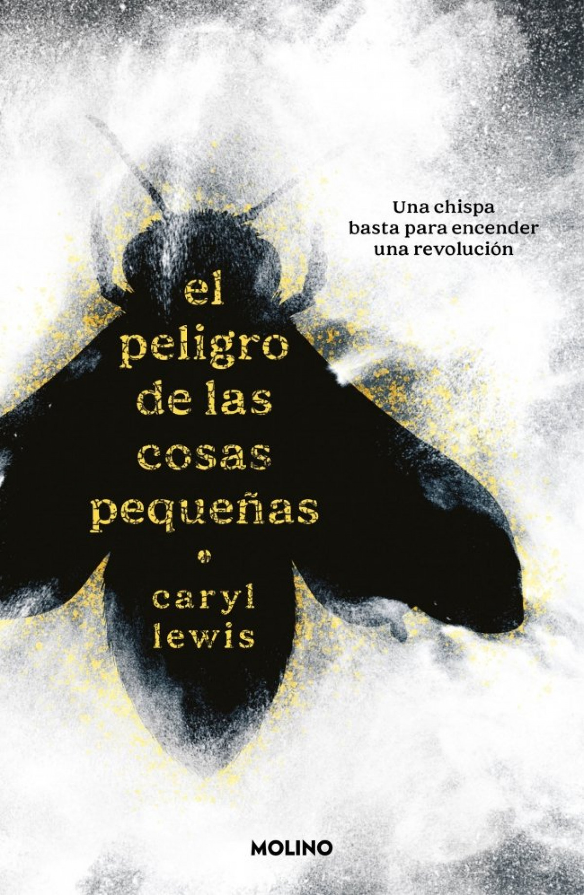 PELIGRO DE LAS COSAS PEQUE�AS, EL
