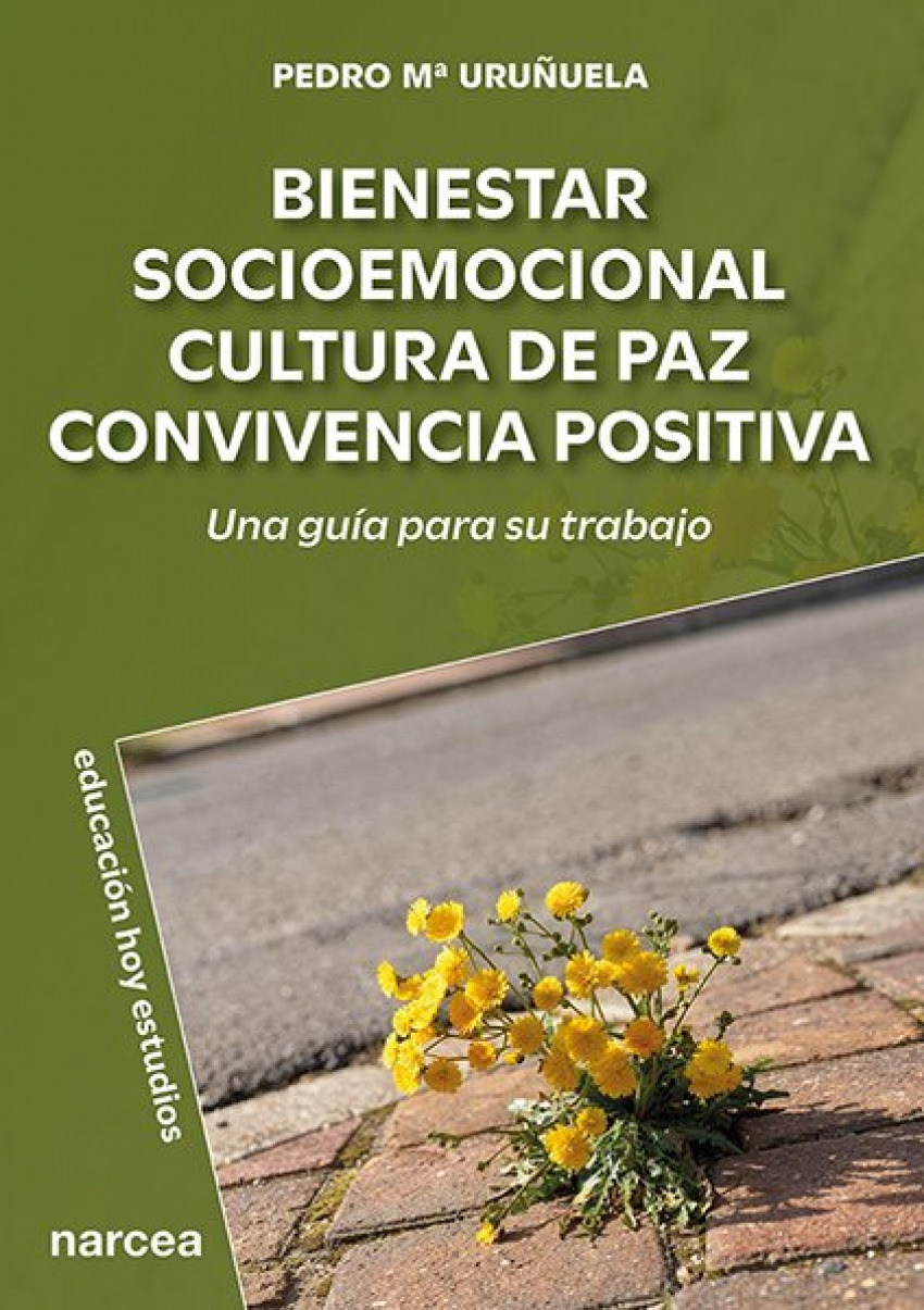 Bienestar socioemocional cultura paz convicencia positiva