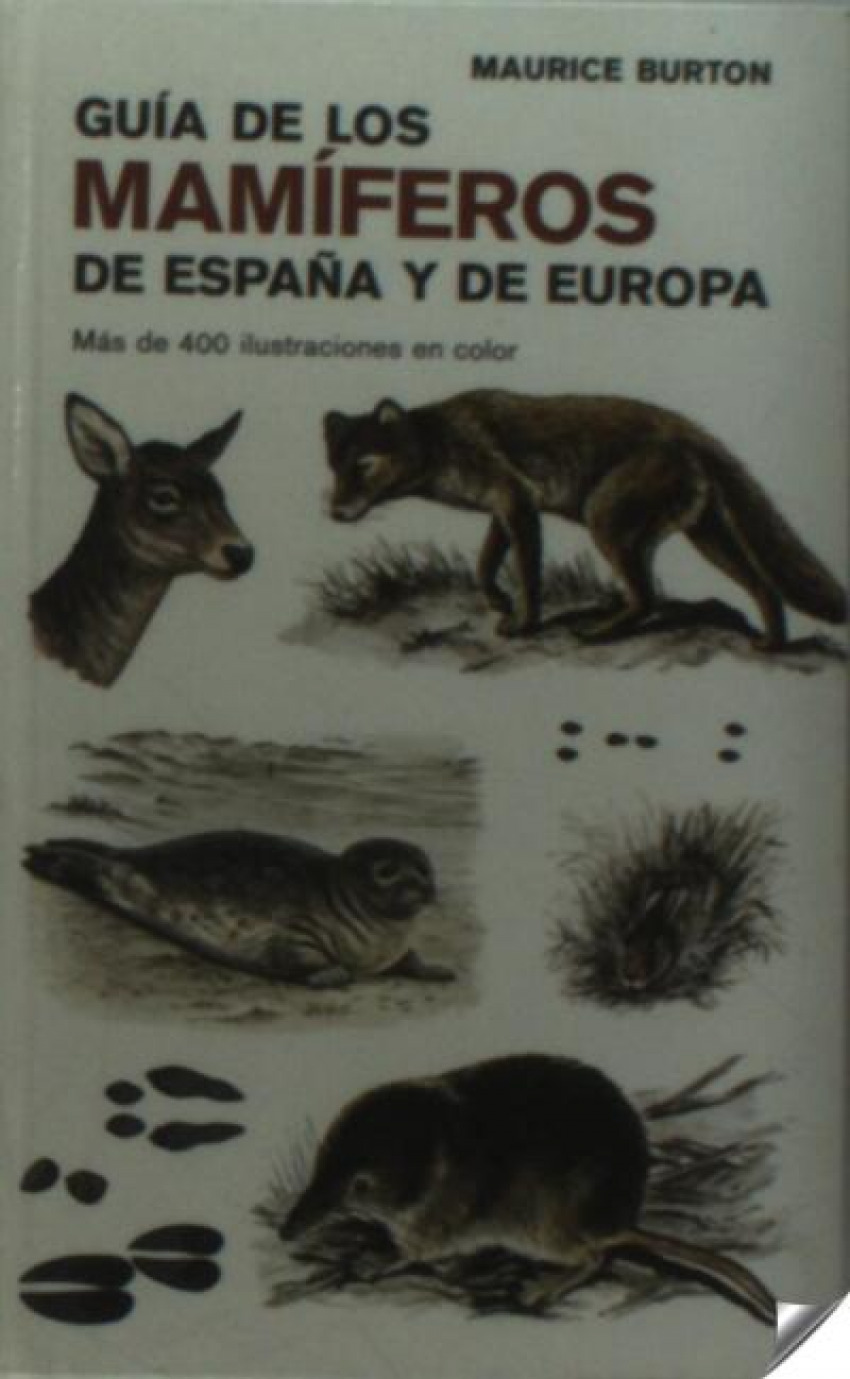 G.de mamiferos de espaÑa y europa - Burton, Maurice