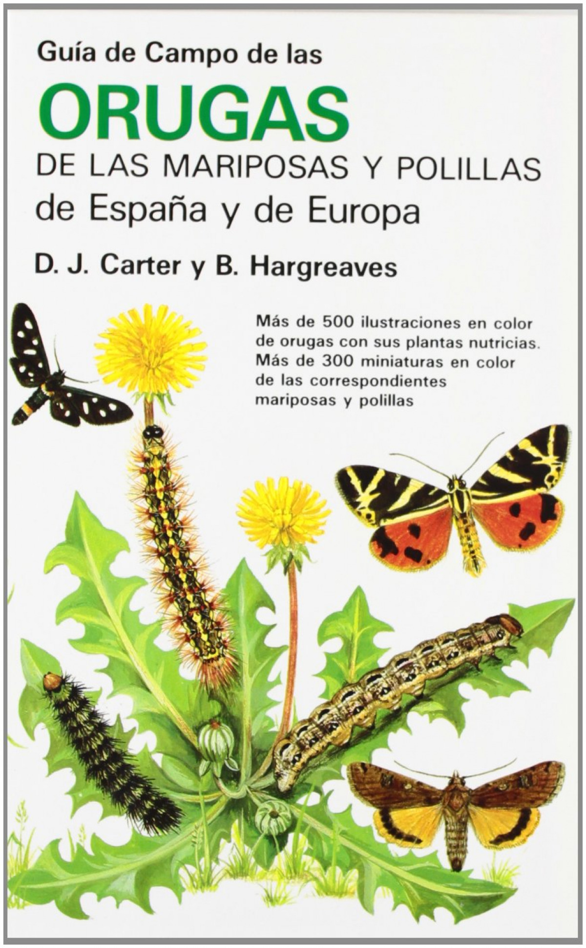 GuÍa de campo de las orugas de las mariposas y polillas de e - Brian Hargreaves/ David J. Carter
