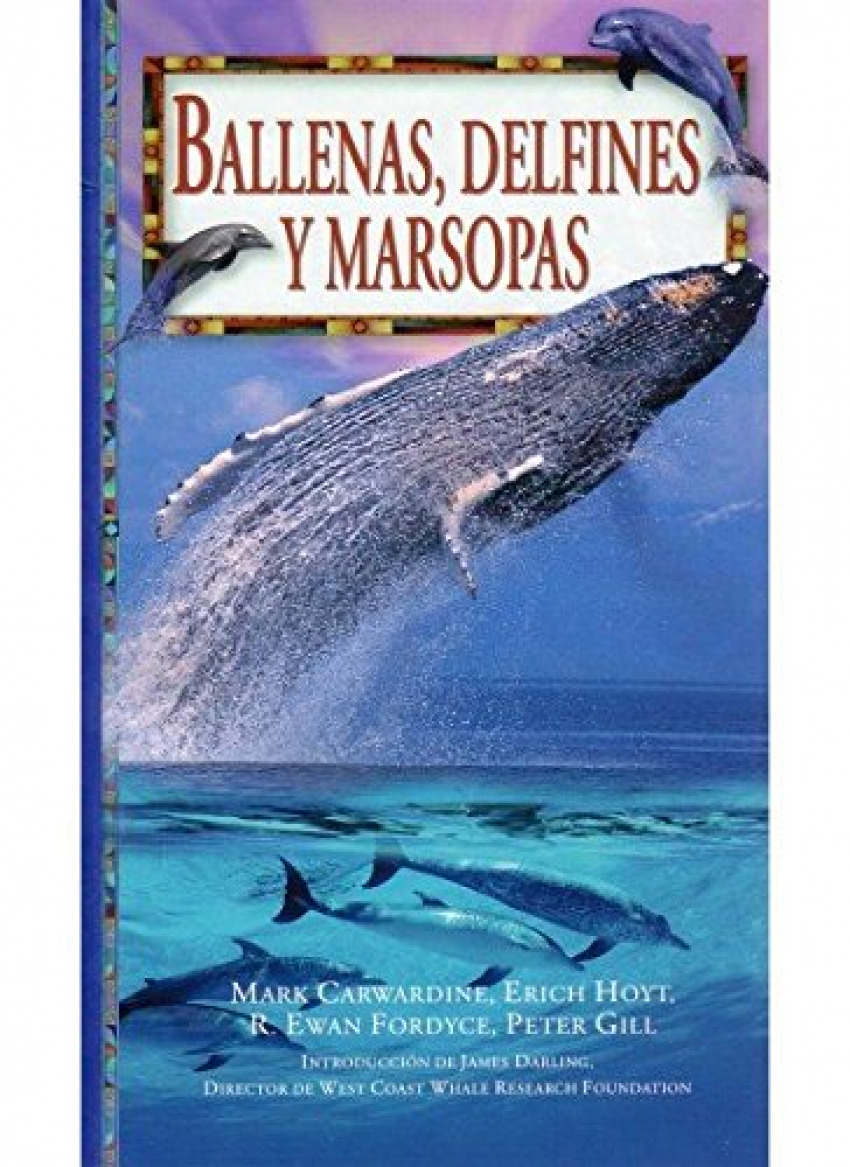 Ballenas delfines y marsopas - Aa.Vv.