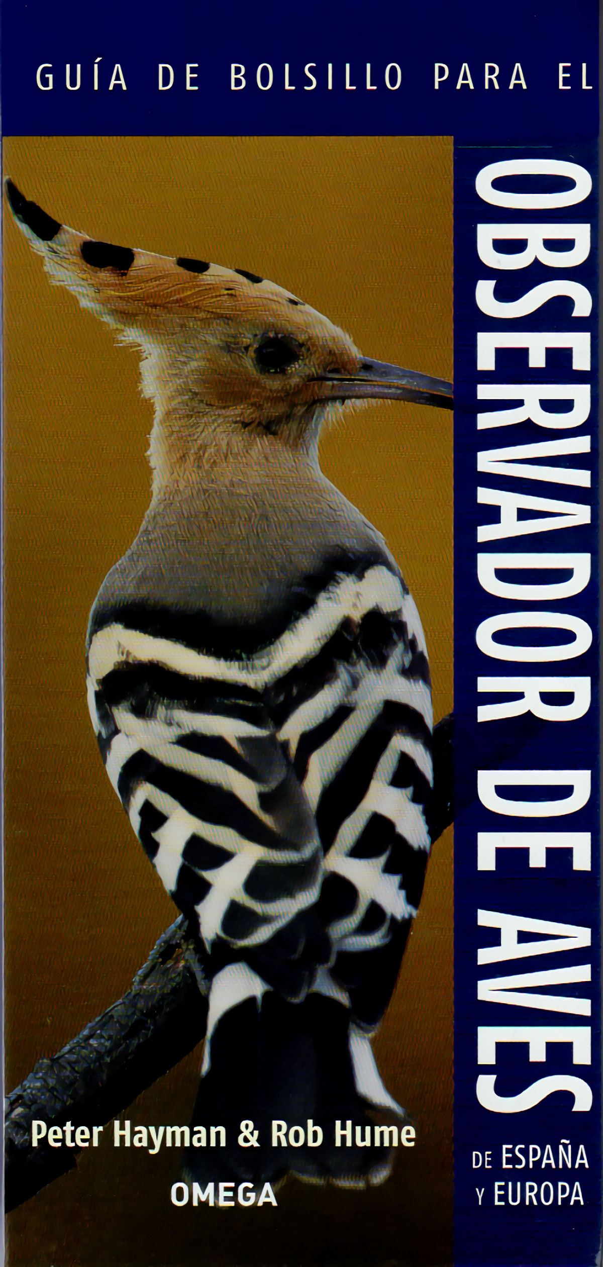 Guia de bolsillo para observador aves de España y Europa - Hayman, Peter