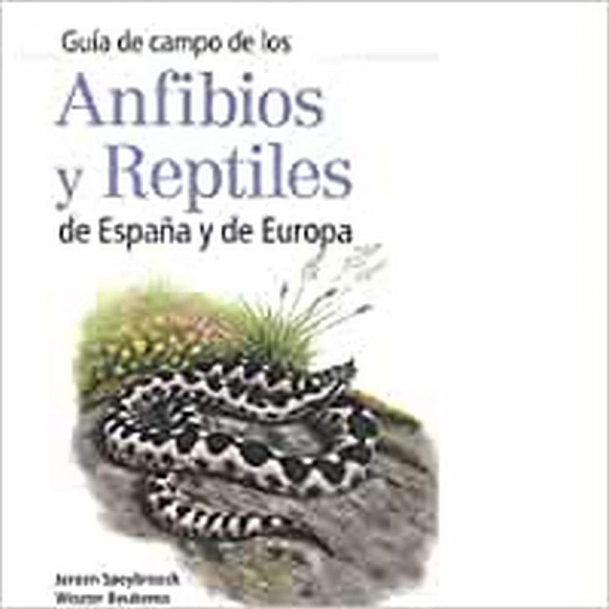 GuÍa de campo de los anfibios y reptiles de espaÑa y europa - Vv.Aa.
