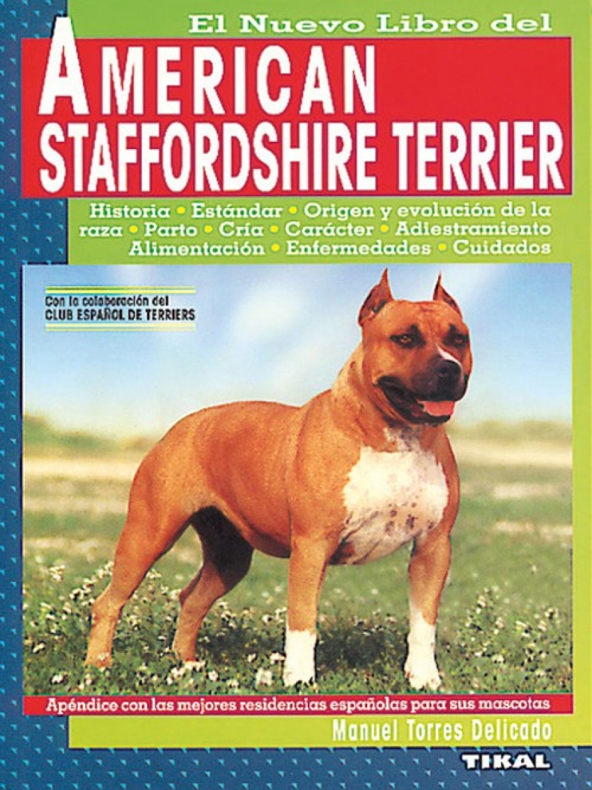 American staffordshire terrier. - Torres Delicado, Manuel