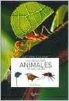 ANIMALES DE LAS CASA, LOS