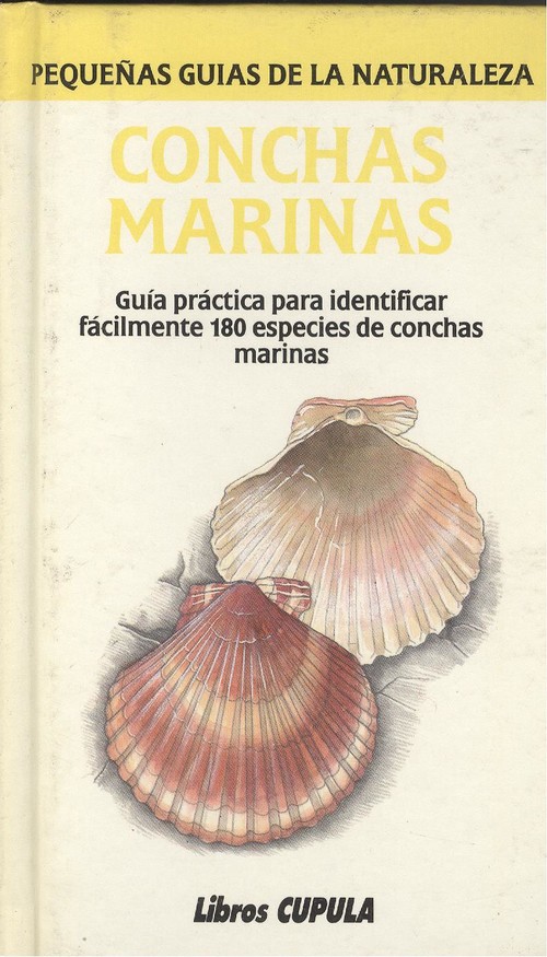 Conchas marinas - Lawrence, E. / Harnies, S.