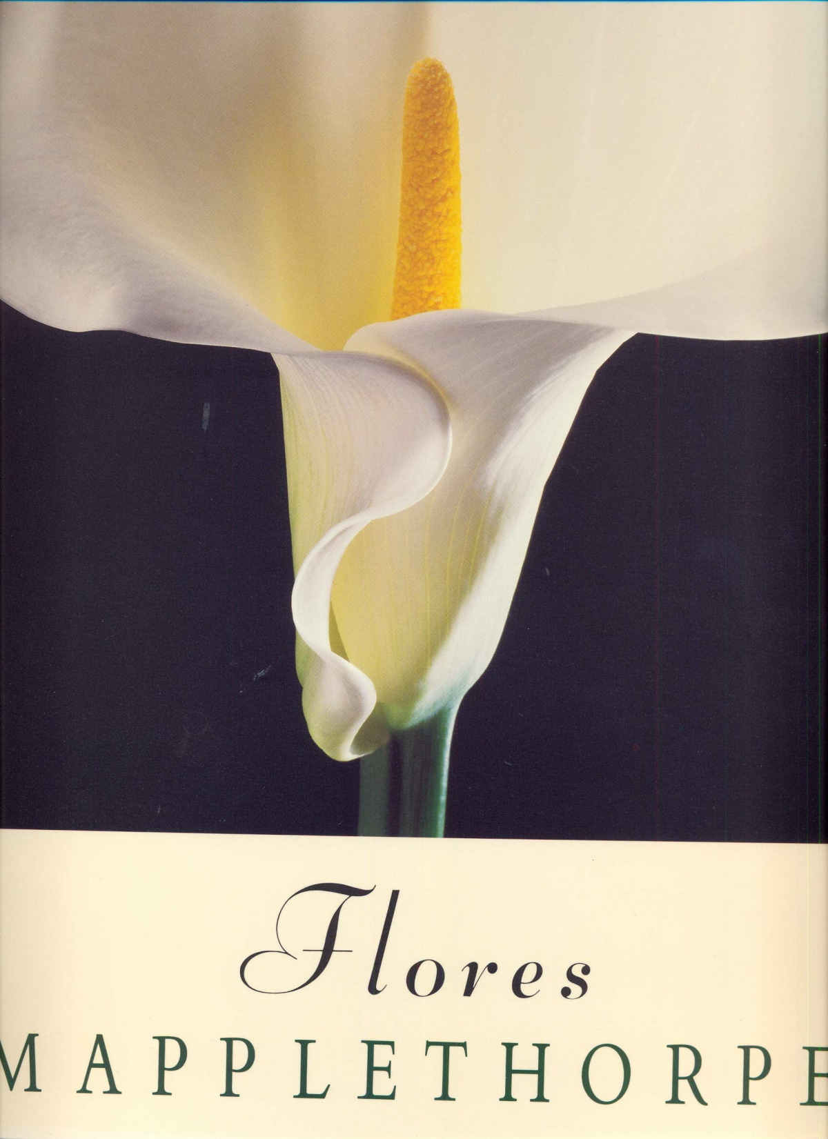 Flores - Mapplethorpe