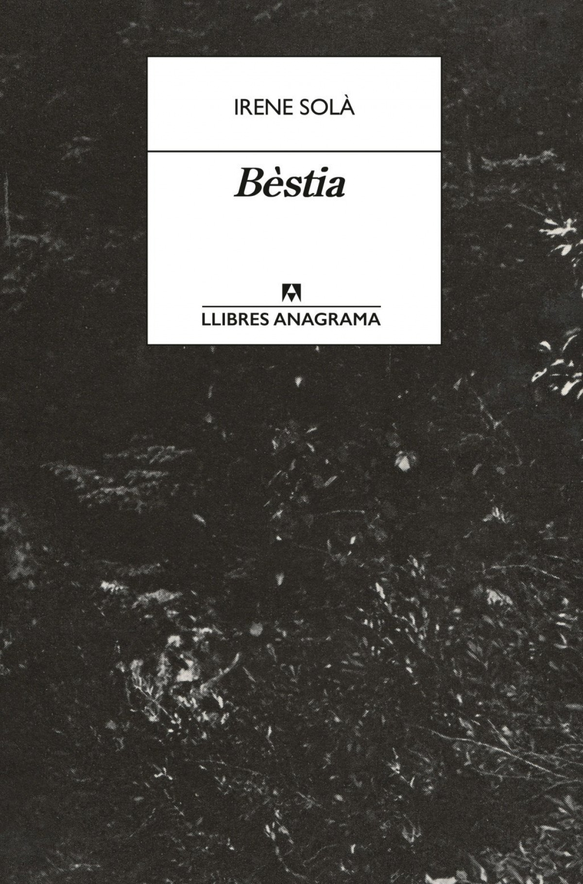 bestia