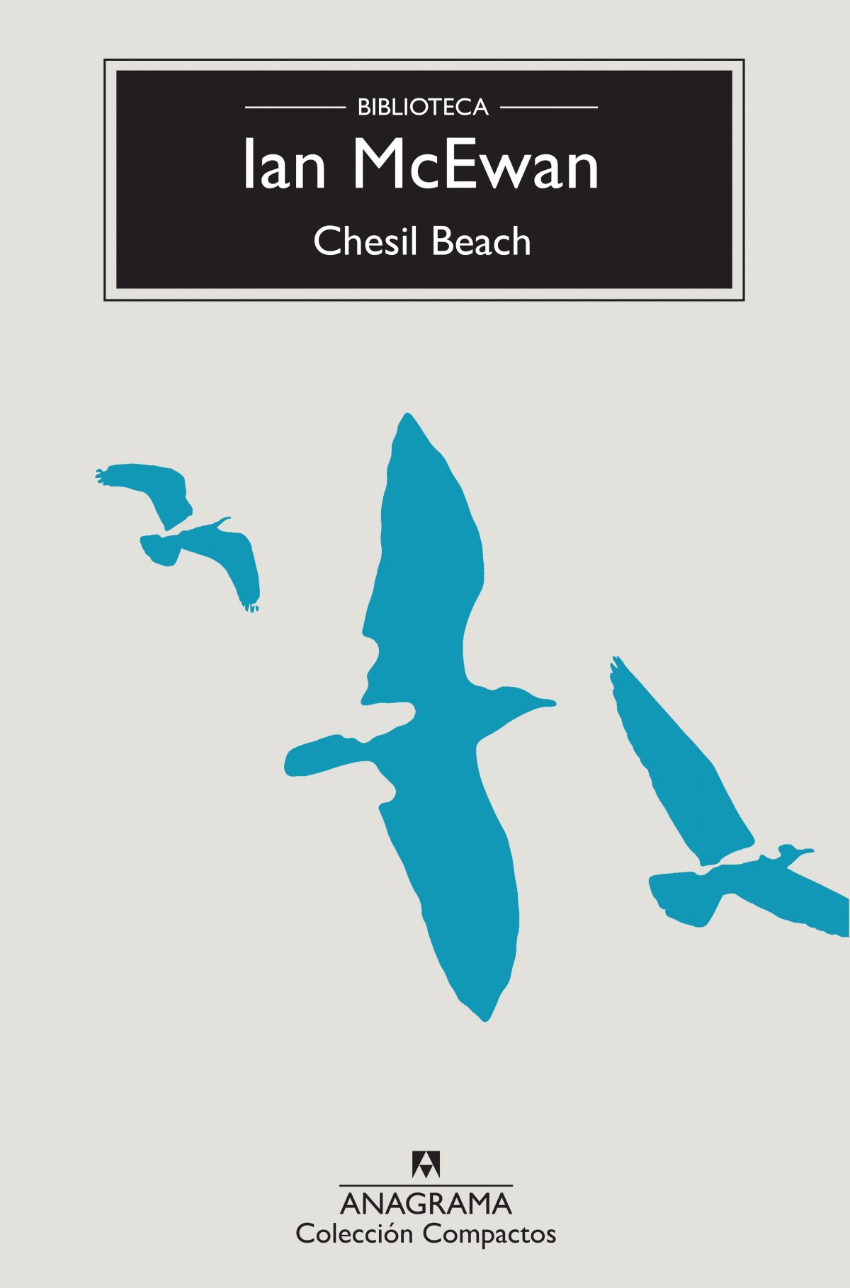 Chesil beach - McEwan, Ian