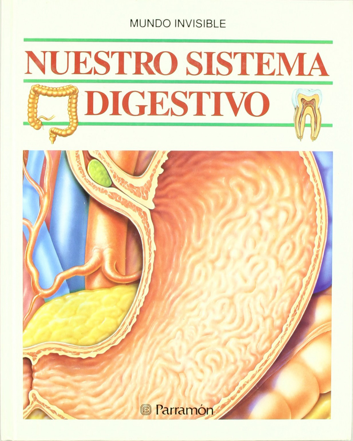 Nuestro sistema digestivo - Parramón Ediciones