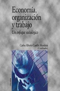 ECONOMIA,ORGANIZACION Y TRABAJO                   PIR Un enfoque socio - Castillo Mendoza, Carlos Alber