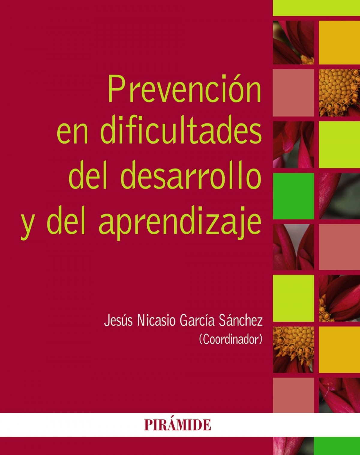 Prevención de las dificultades del desarrollo y del aprendizaje - García-Sánchez, Jesús Nicasio