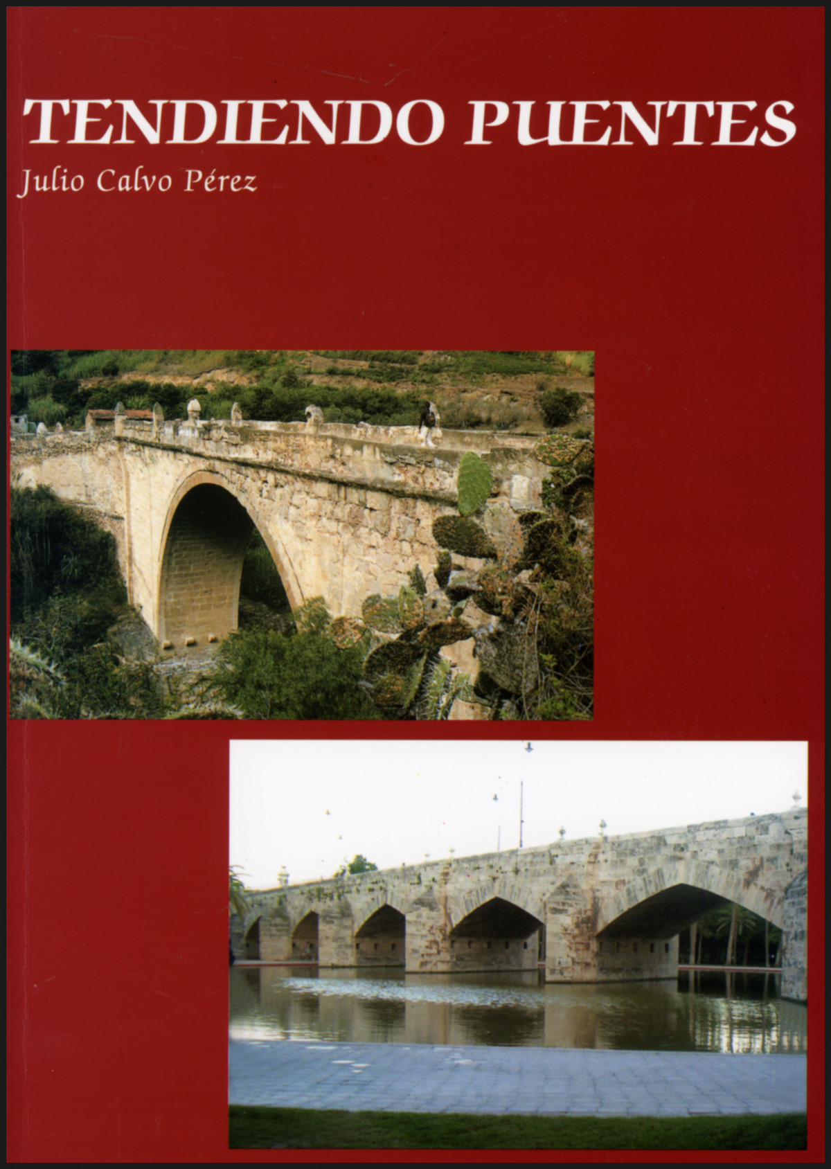 Tendiendo puentes - Julio Calvo Pérez