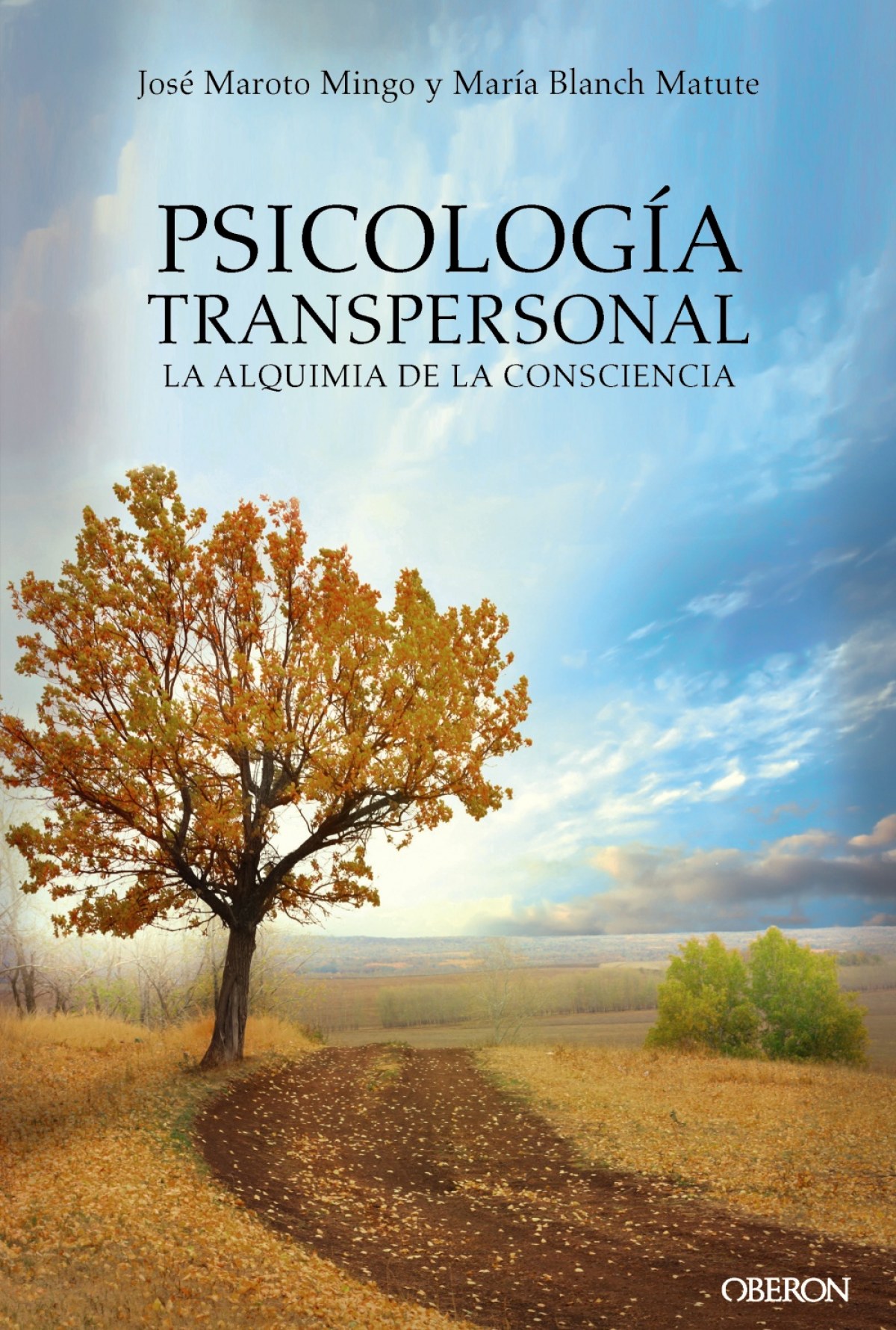 PSICOLOGÍA TRANSPERSONAL La alquimia de la consciencia - Vv.Aa.