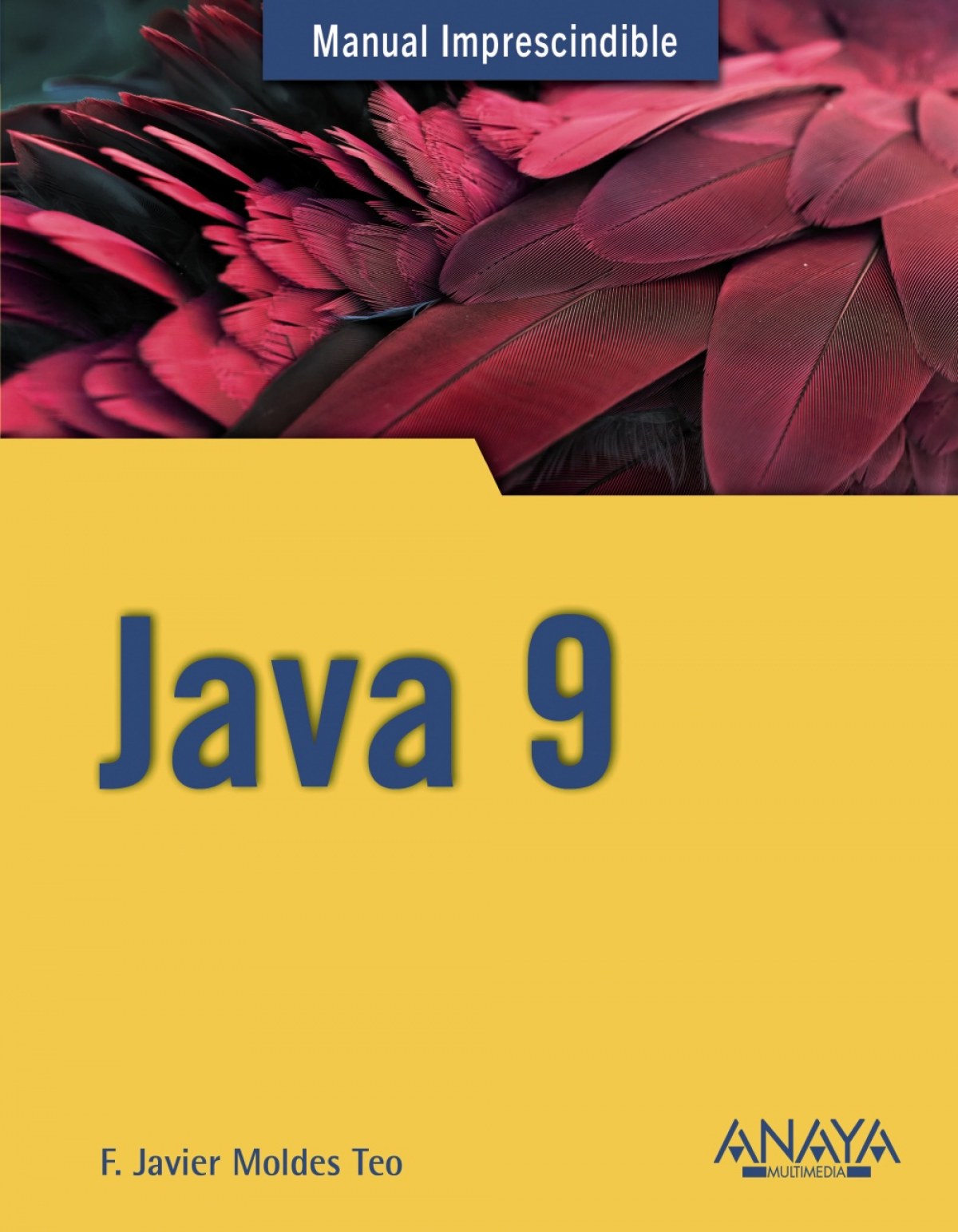 Java 9 - Moldes, F. Javier