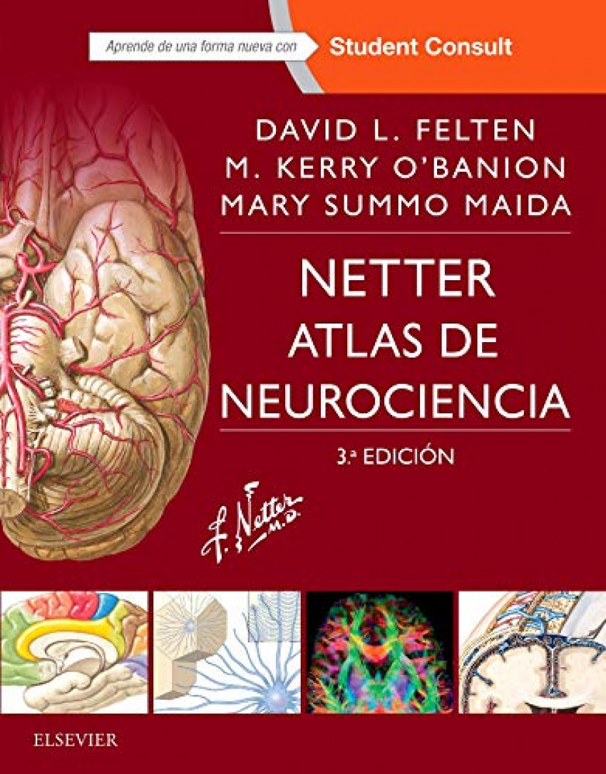 Netter.atlas de neurociencia - Vv.Aa.