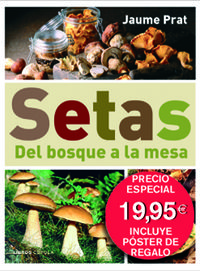 SETAS. DEL BOSQUE... + POSTER