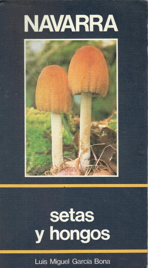 NAVARRA, SETAS Y HONGOS