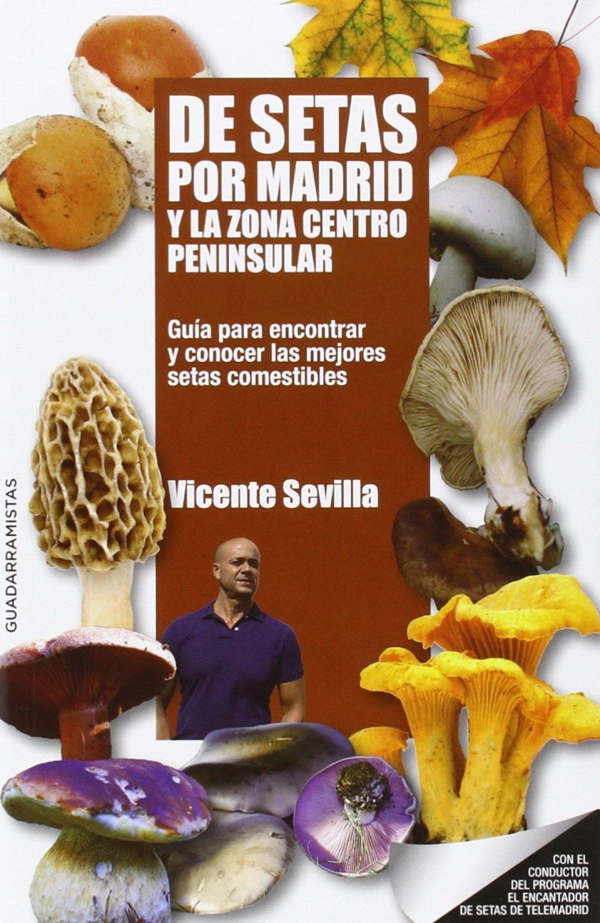 De setas por madrid y la zona centro peninsular guia para en - Sevilla Hidalgo, Vicente