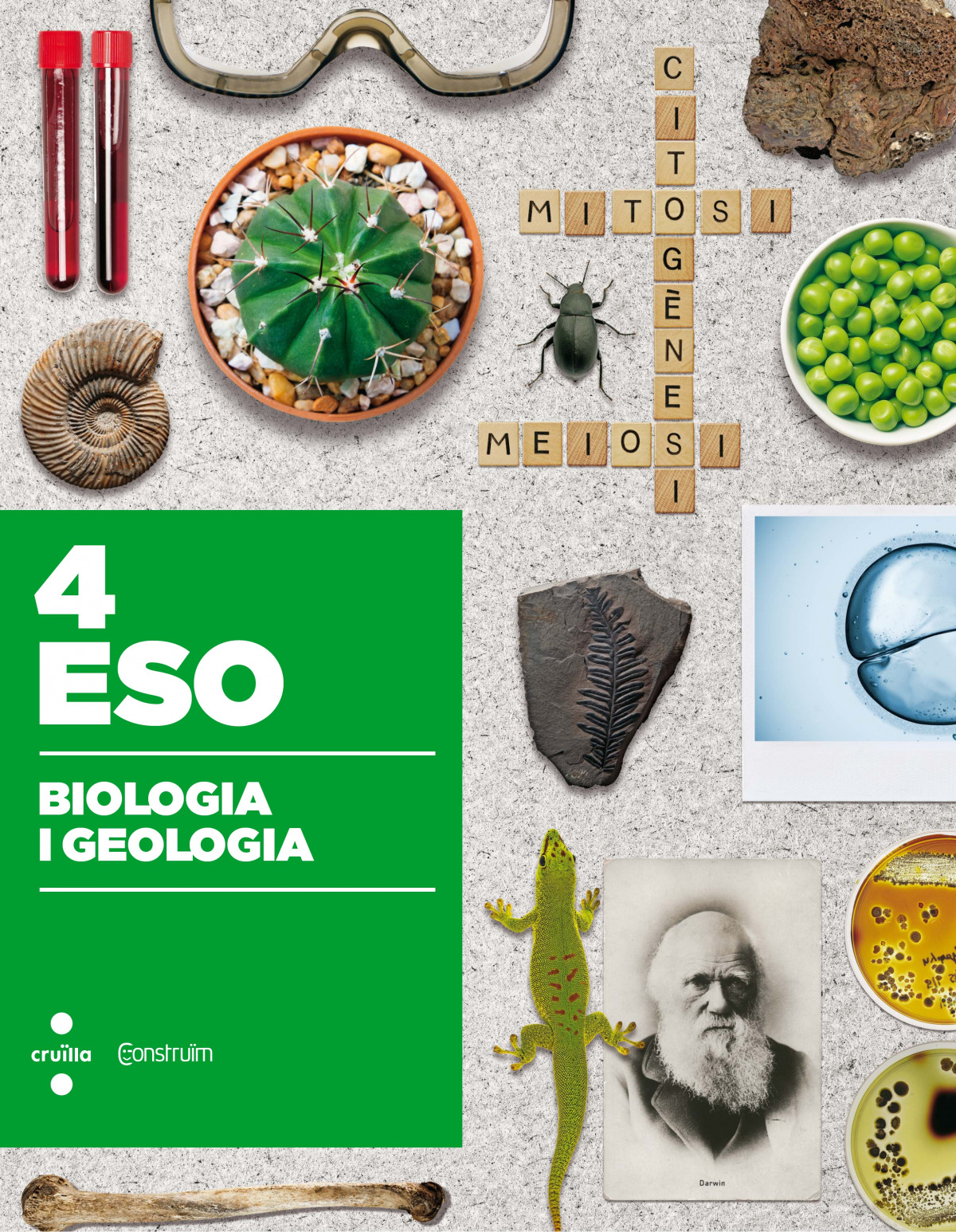 biologia i geologia 4t eso  construïm 2016