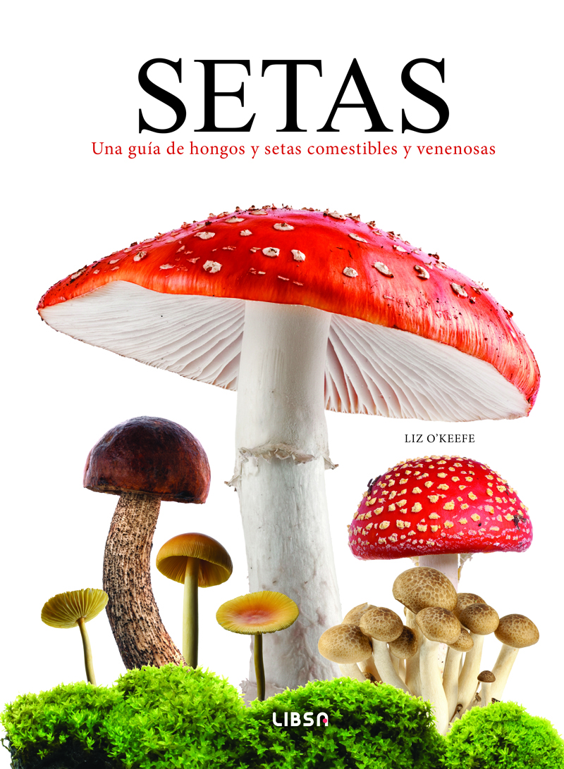 setas