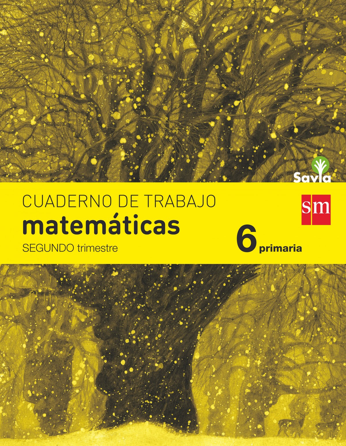 Ant/(15).cuaderno matematicas 2 (6º primaria).(savia)