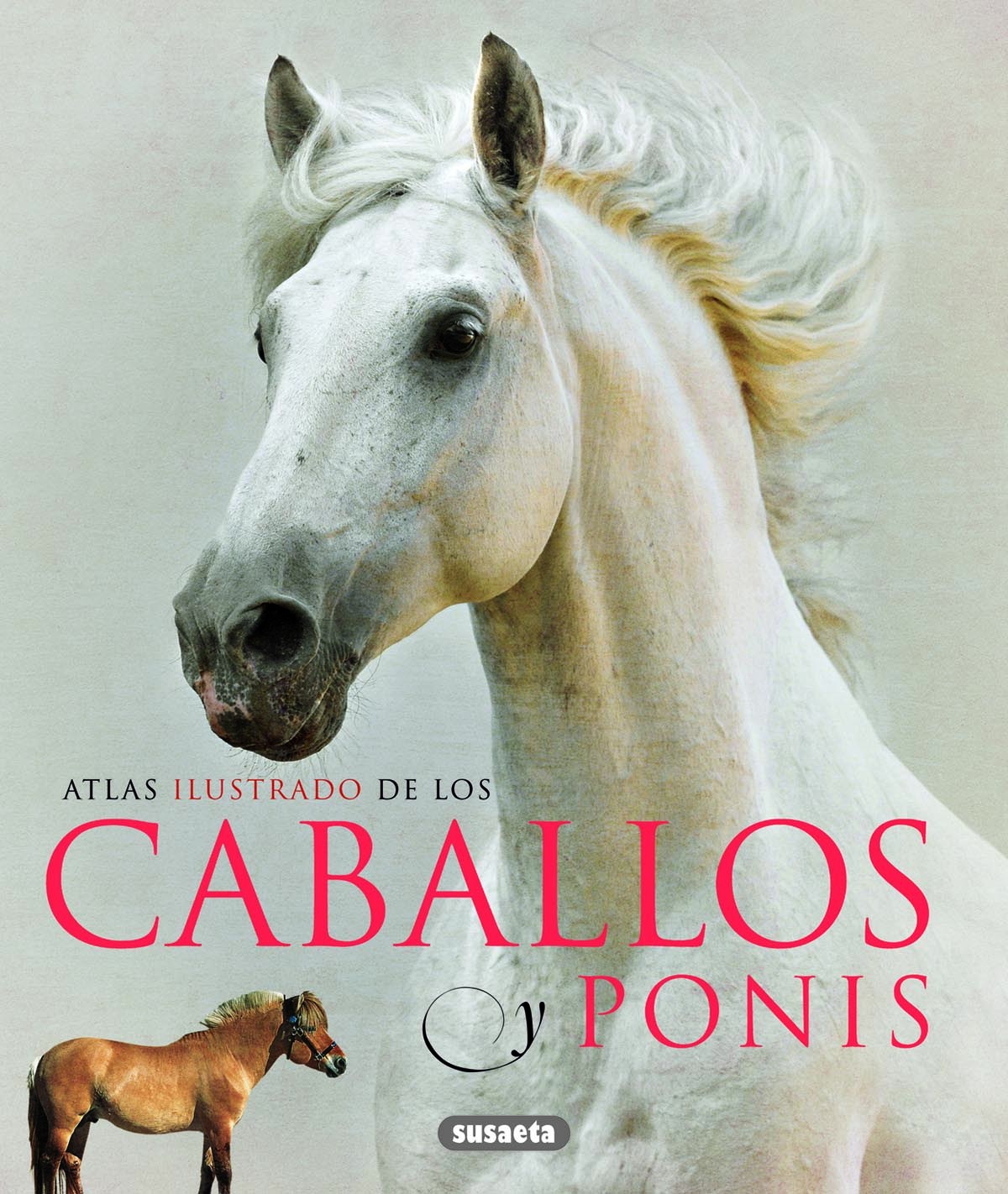 Atlas ilustrado de los caballos y ponis - Laban, Brian