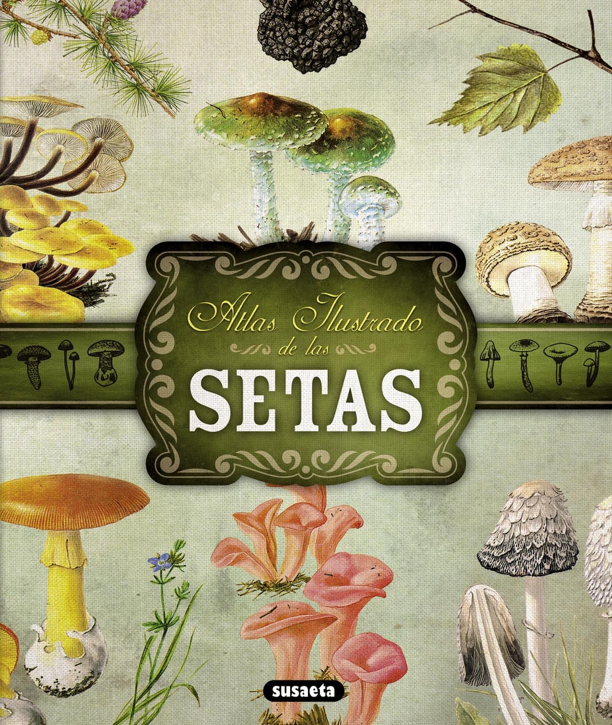 Atlas ilustrado de setas - vv.aa