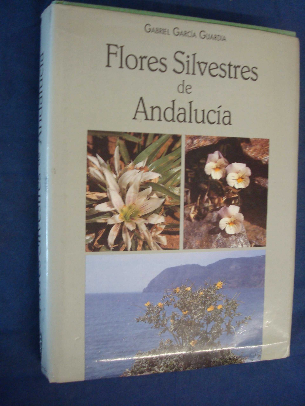 FLORES SILVESTRES DE ANDALUC�A