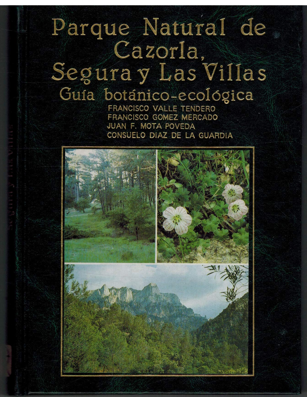 PARQUE NATURAL DE CAZORLA, SEGURA Y LAS VILLAS GU�A BOTANICO