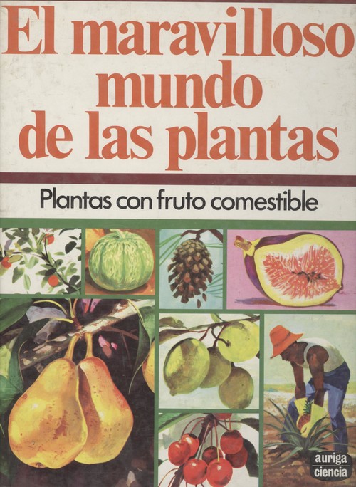 EL MARAVILLOSO MUNDO DE LAS PLANTAS, LAS PLANTAS CON FRUTO C