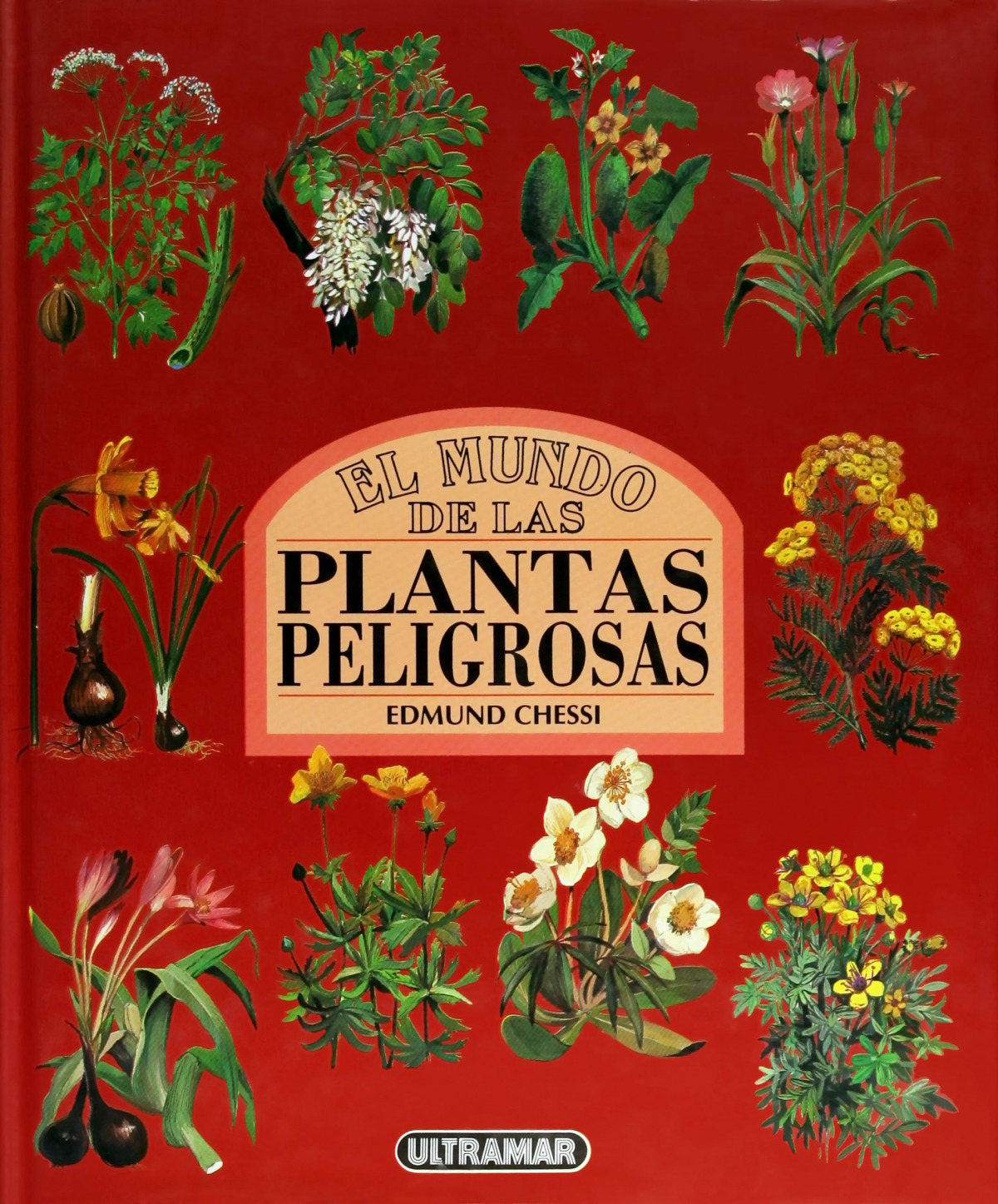 MUNDO DE LAS PLANTAS PELIGROSAS
