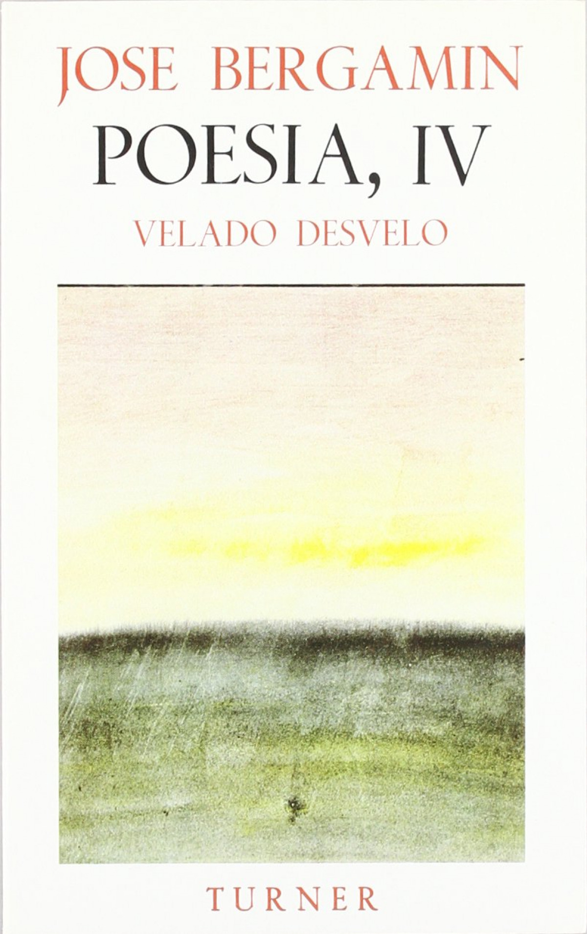 VELADO DESVELOPOESIA IV