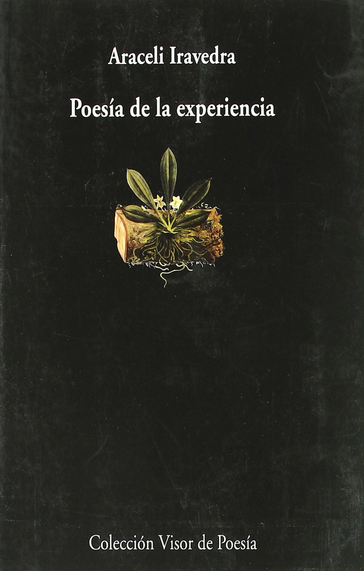 Poesia de la experiencia - Iravedra, Araceli