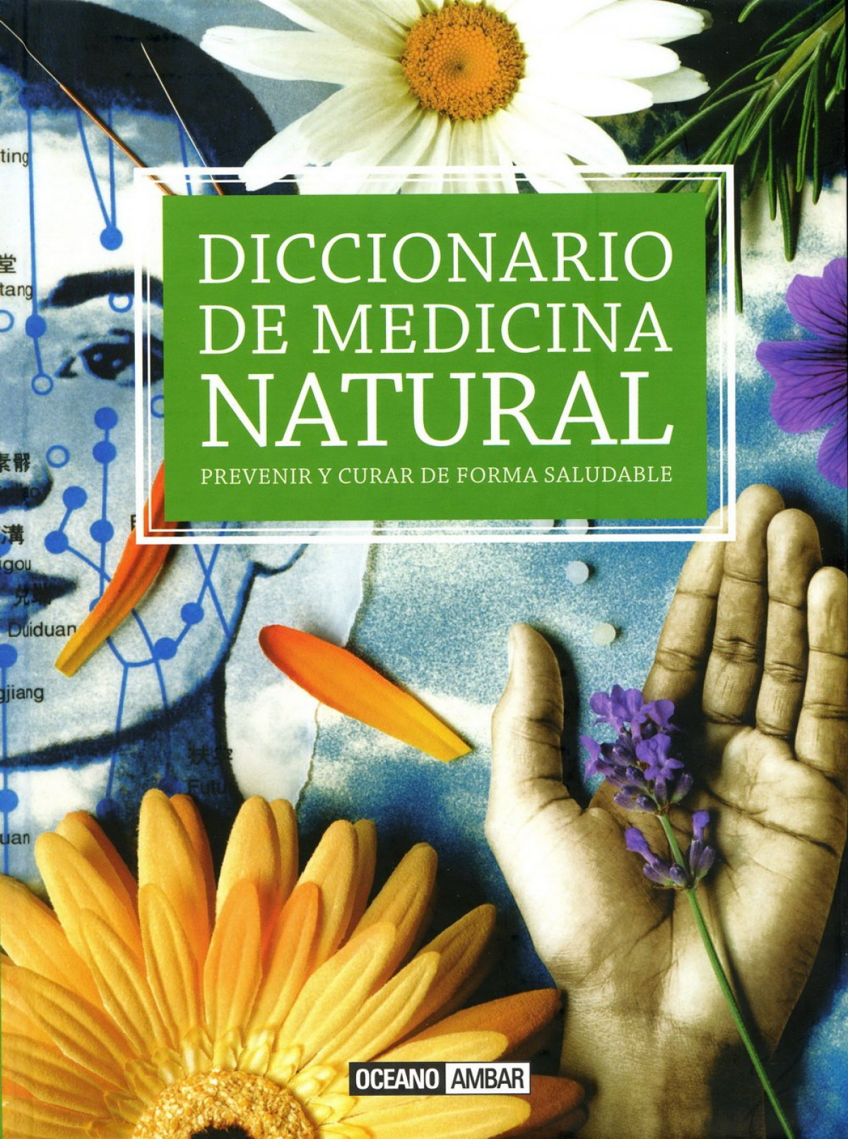 Diccionario de medicina natural prevenir y curar de forma saludable