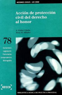 Acci�n de protecci�n civil del derecho al honor - Lec 2000