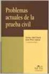 Problemas actuales de la prueba civil