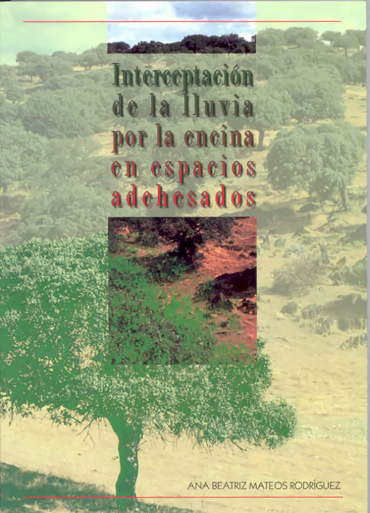 INTERCEPTACION DE LA LLUVIA POR LA ENCIN