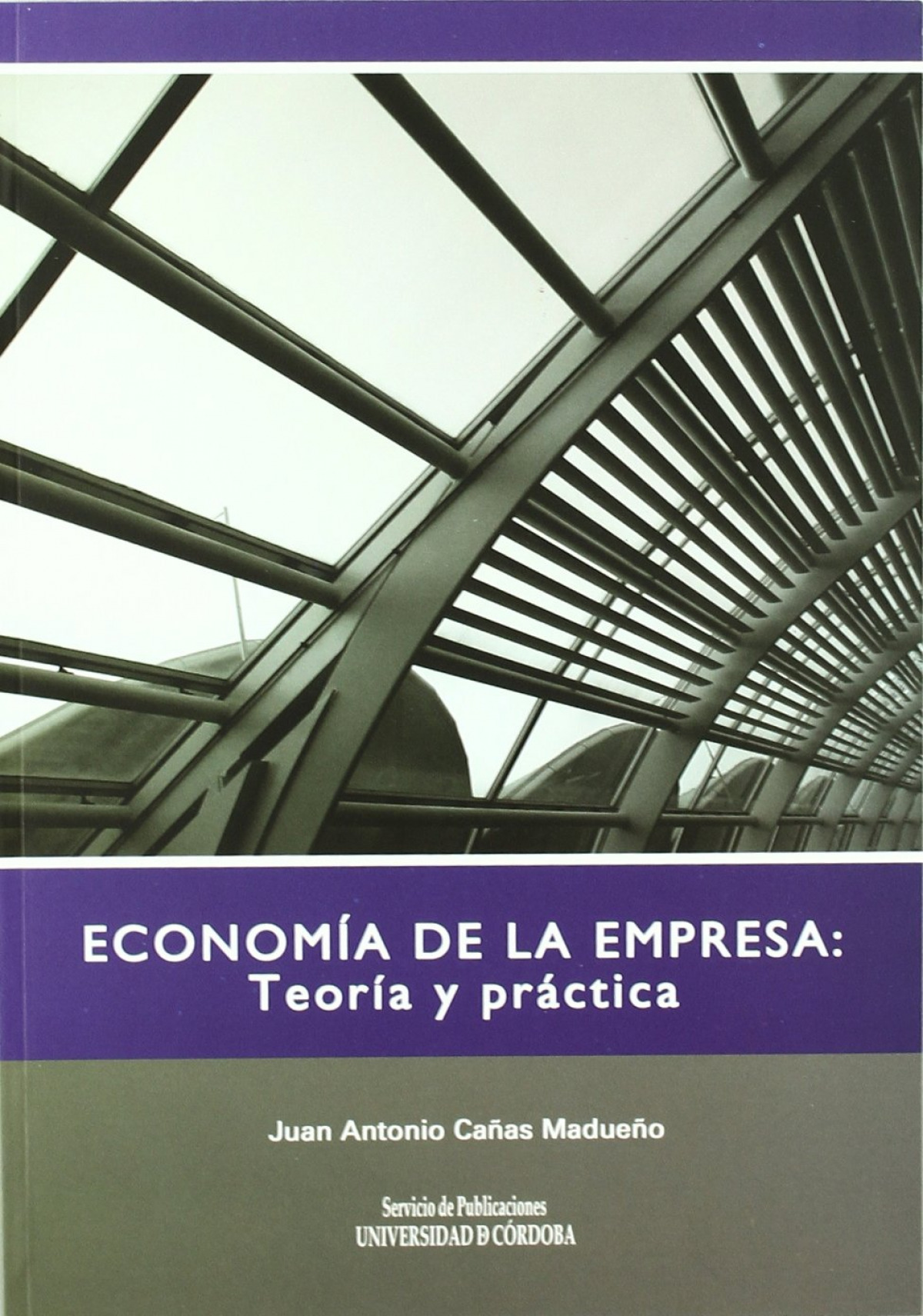 ECONOMIA DE LA EMPRESA TEORIA Y PRACTICA
