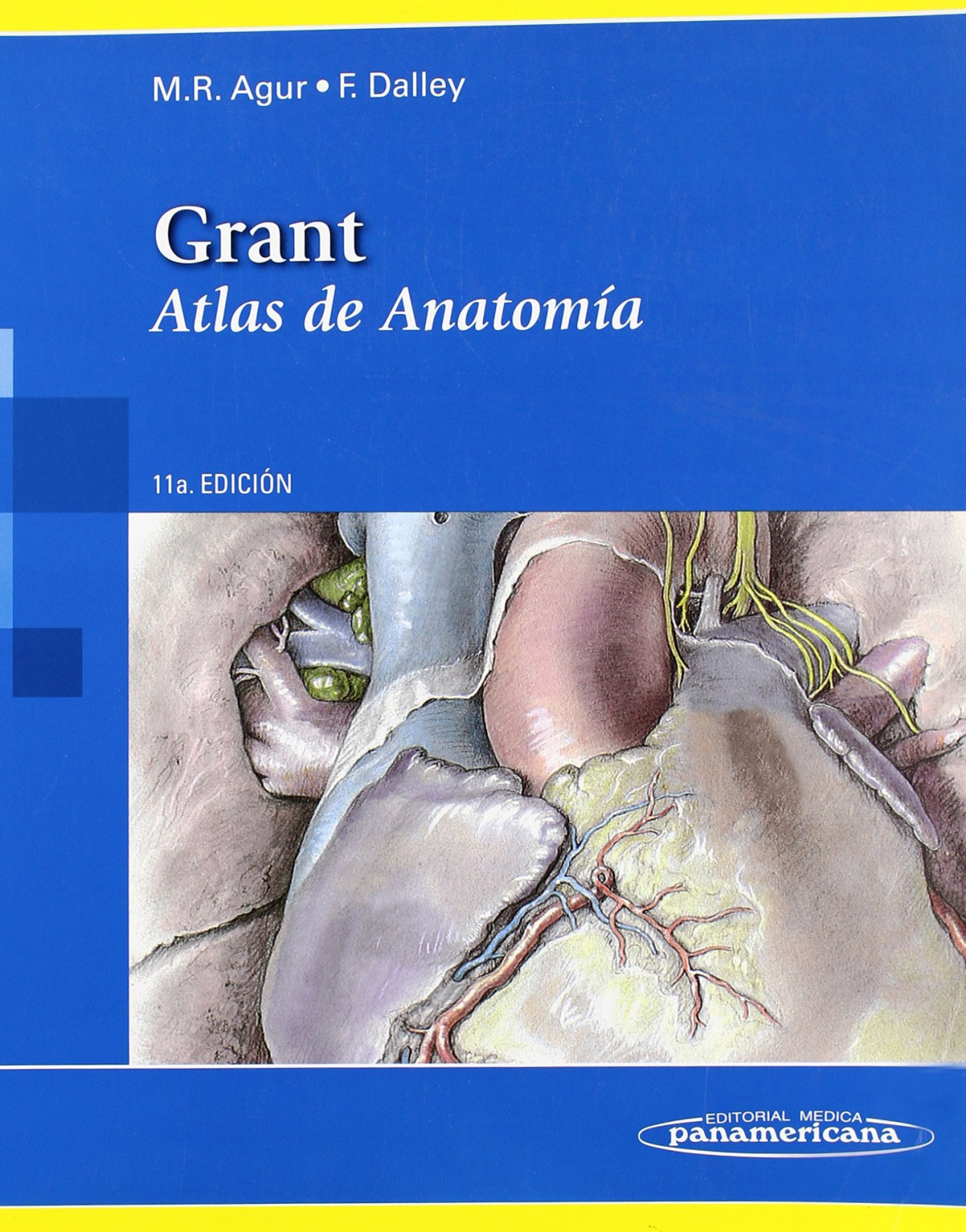Grant.atlas de anatomía - Agur/Dalley