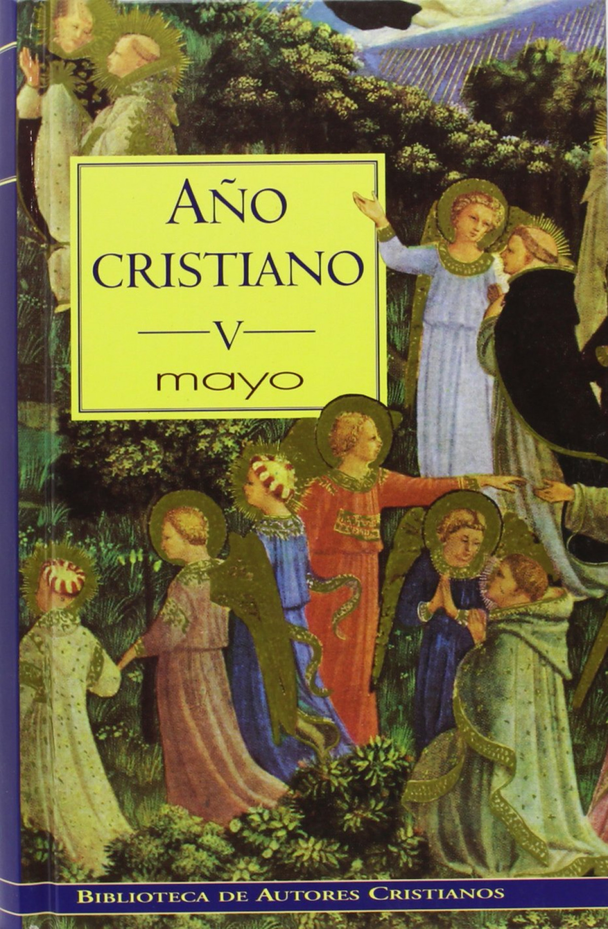 Año cristiano.V: Mayo - Repetto, José Luis