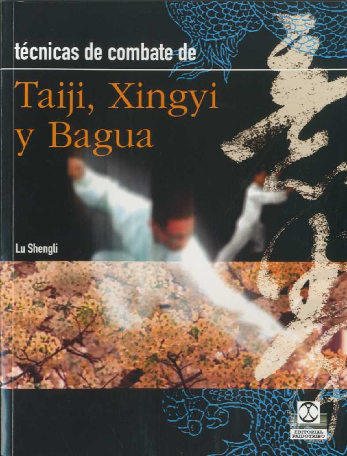 TECNICAS COMBATE DE TAIJI XINGYI Y BAGUA
