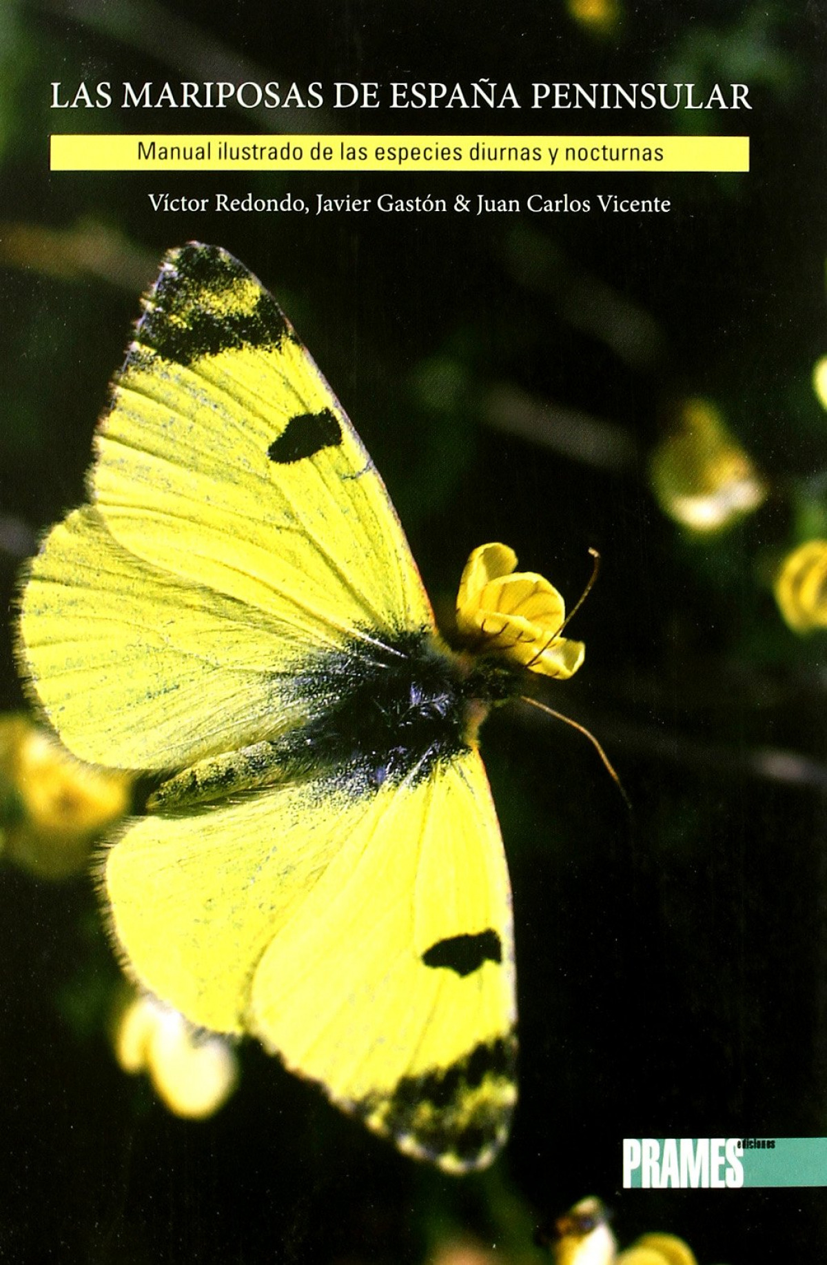 LAS MARIPOSAS DE ESPA�A PENINSULAR