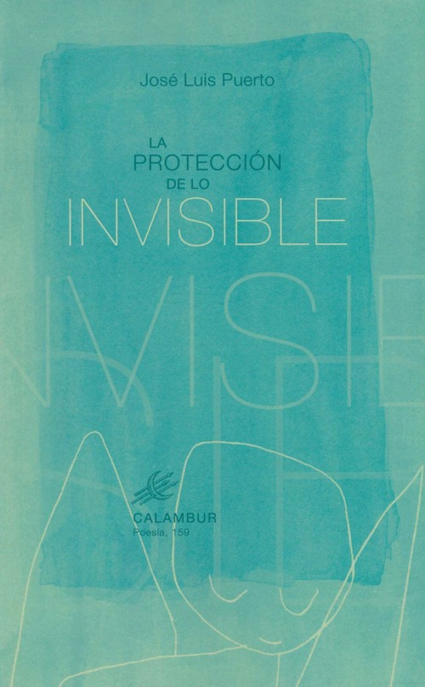 La protección de lo invisible - Puerto, José Luis