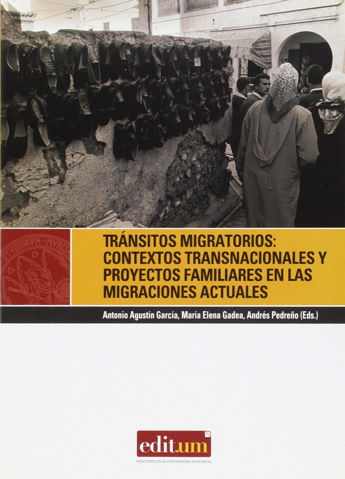 Tránsitos Migratorios contextos transnacionales y proyectos familiares - Garcia Garcia, Antonio
