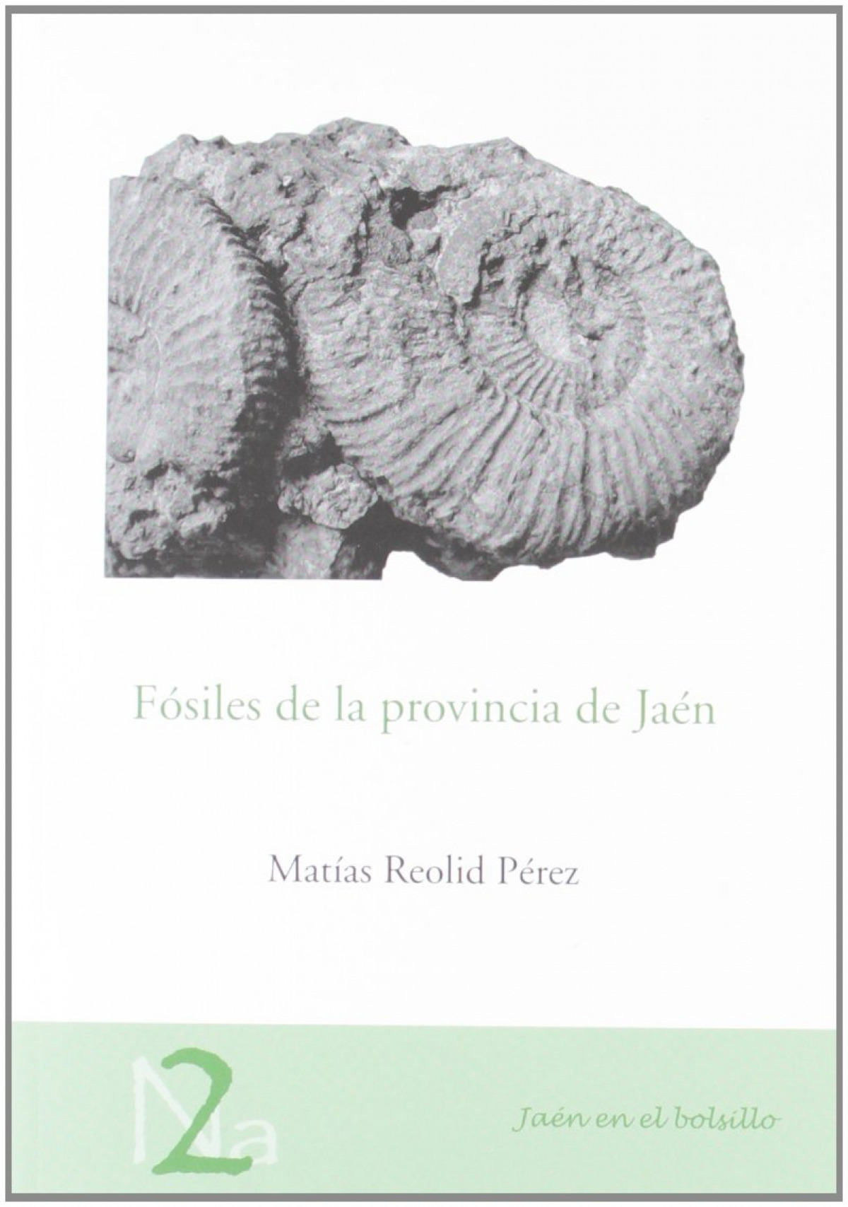 FOSILES DE LA PROVINCIA DE JAEN. (JAEN EN EL BOLSILLO, 2)
