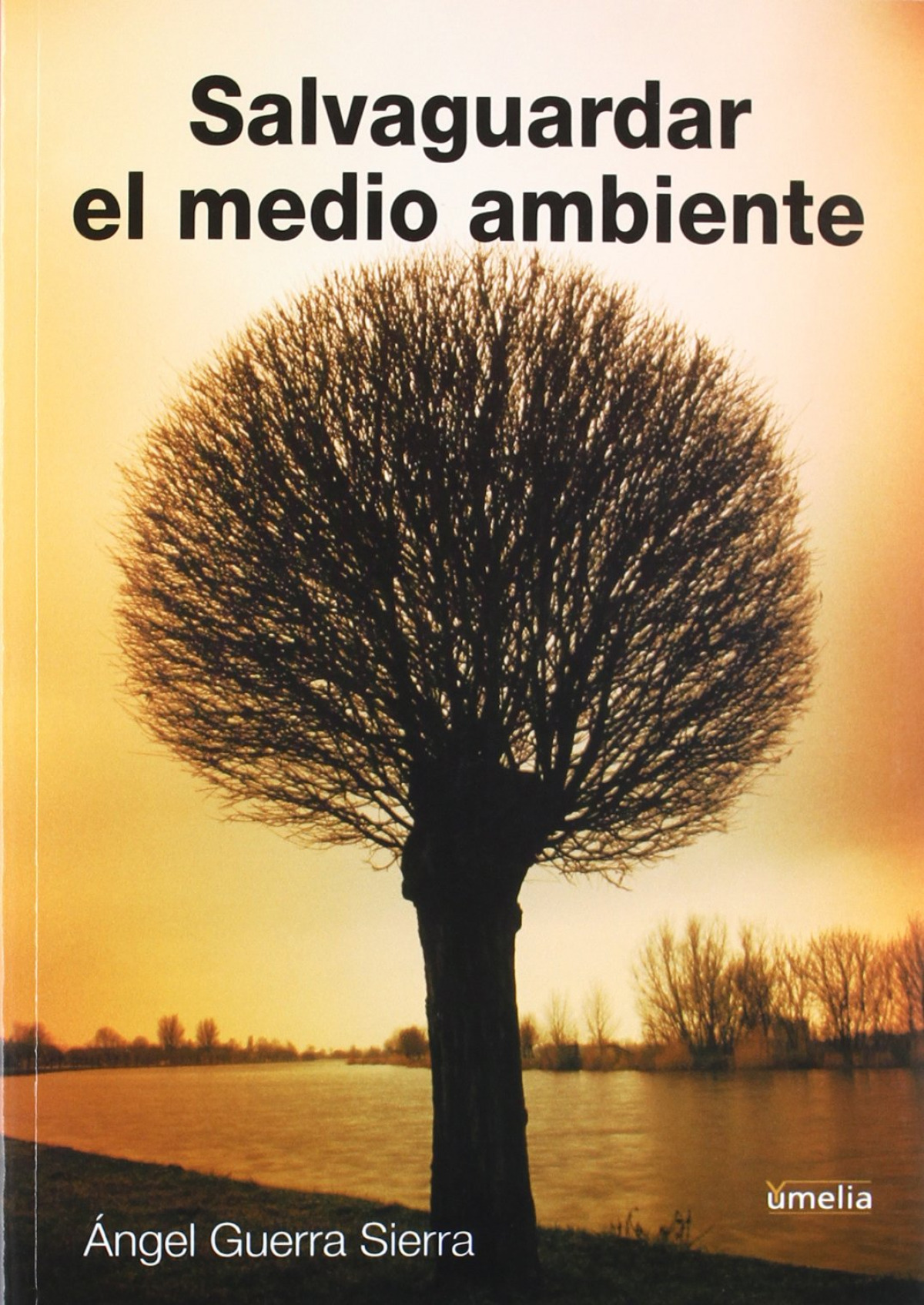 Salvaguardar el medio ambiente