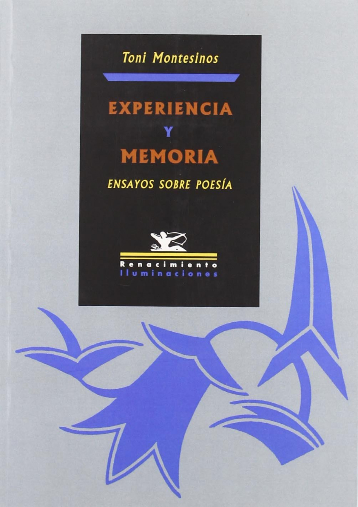 Experiencia y memoria - Montesinos, Toni