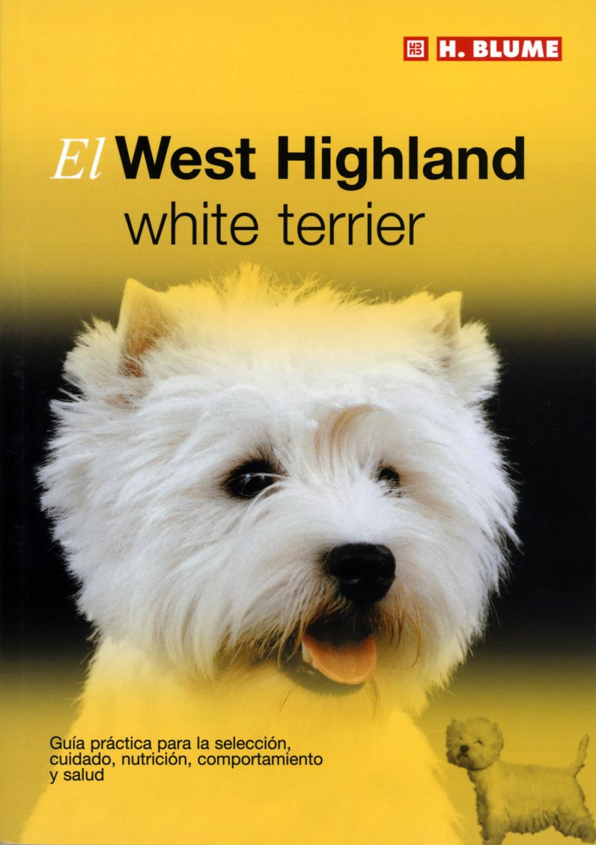 West higland y white terrier - George, David