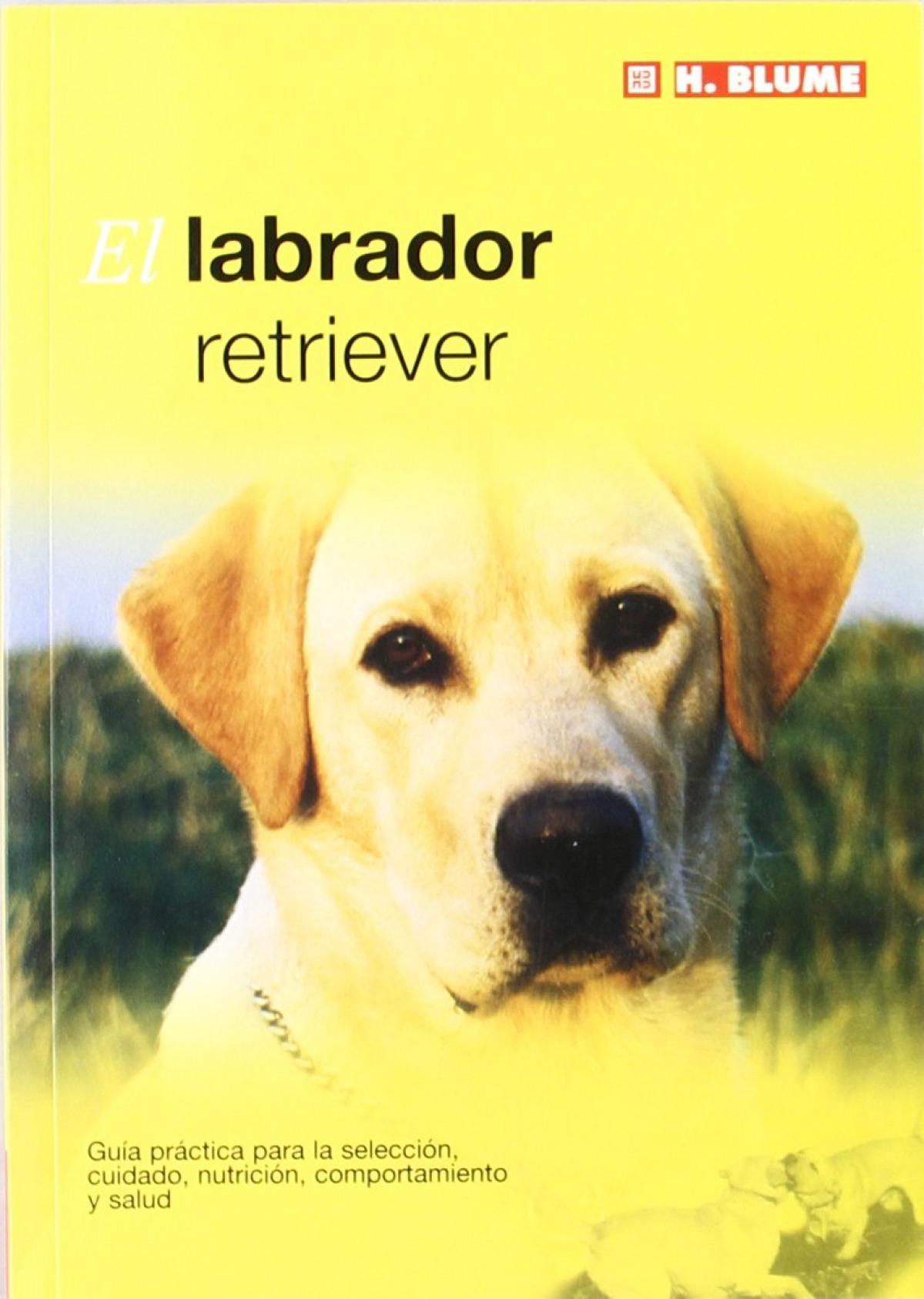 Labrador retriever - Vv.Aa